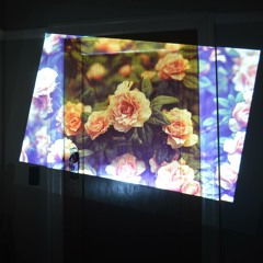 tomorrow promises flowers