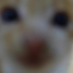 オスカー（弾き語り）