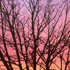 Untitled Satan Rape Song