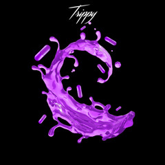 Trippy - Unconditionally (Original Mix)