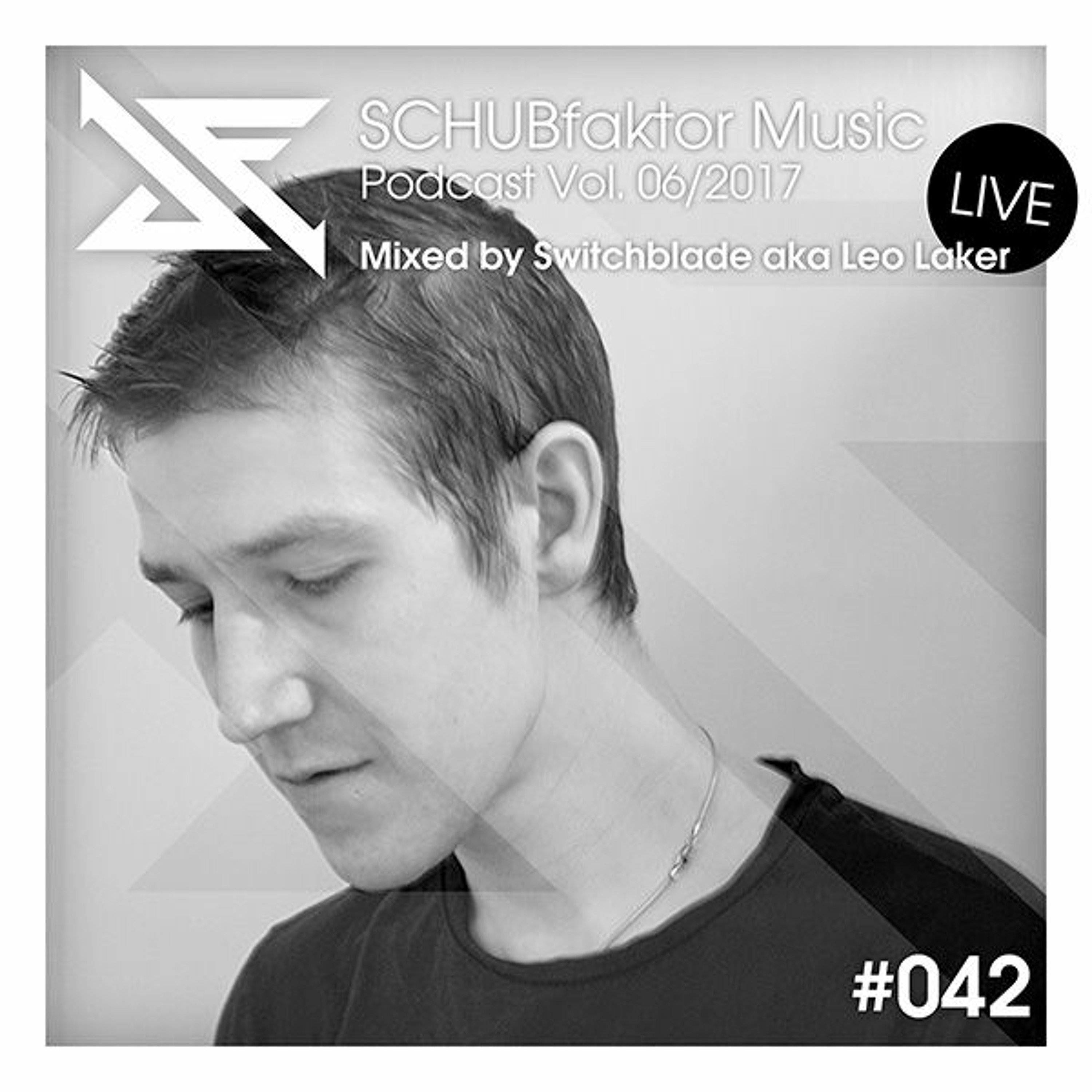 SCHUBfaktor Music