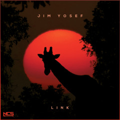 Jim Yosef - Link [NCS Release]