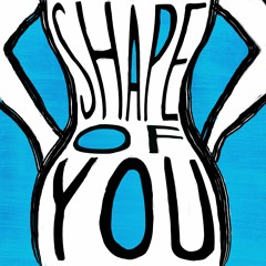 Ed Sheeran - Shape Of You (D'Maduro No Scrubs Mash)