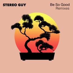 stereo guy - be so good (gnoiz remix)