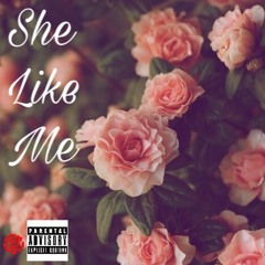 She Like Me ( montana tee)