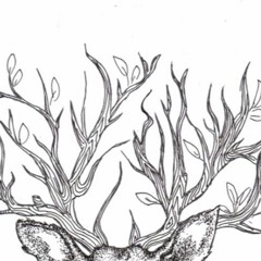 rainy weather is the best weather