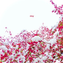 stay