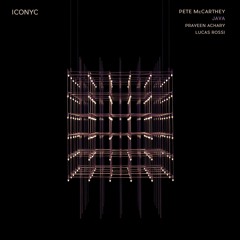 Pete McCarthey - Java (Praveen Achary Dub Mix) [ICONYC]