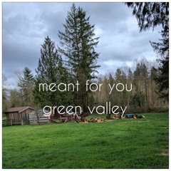 Meant For You (The Beach Boys)