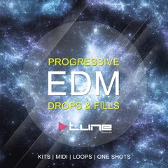 Progressive EDM Drops & Fills (Libreria) DESCARGA FREE ↓↓↓