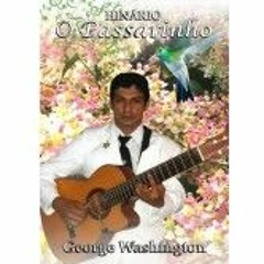 O PASSARINHO GEORGE WASHINGTON CDP 2017