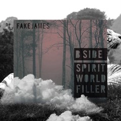 Slak [b-side edit] - Fake James