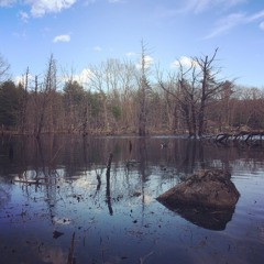 Field Recording Drone Sketch 5/20/17