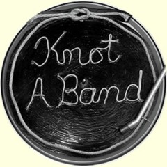 Mr. Soul- Buffalo Springfield- Live cover