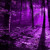 Artwork for Code Purple
