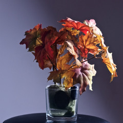 Heartstrings Mix [RBM009]