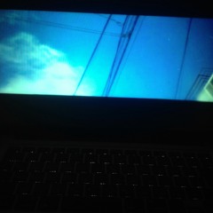 青い魚 / qimygo