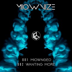 MioWnize - Wanting More