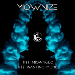 MioWnize - MiownGeo