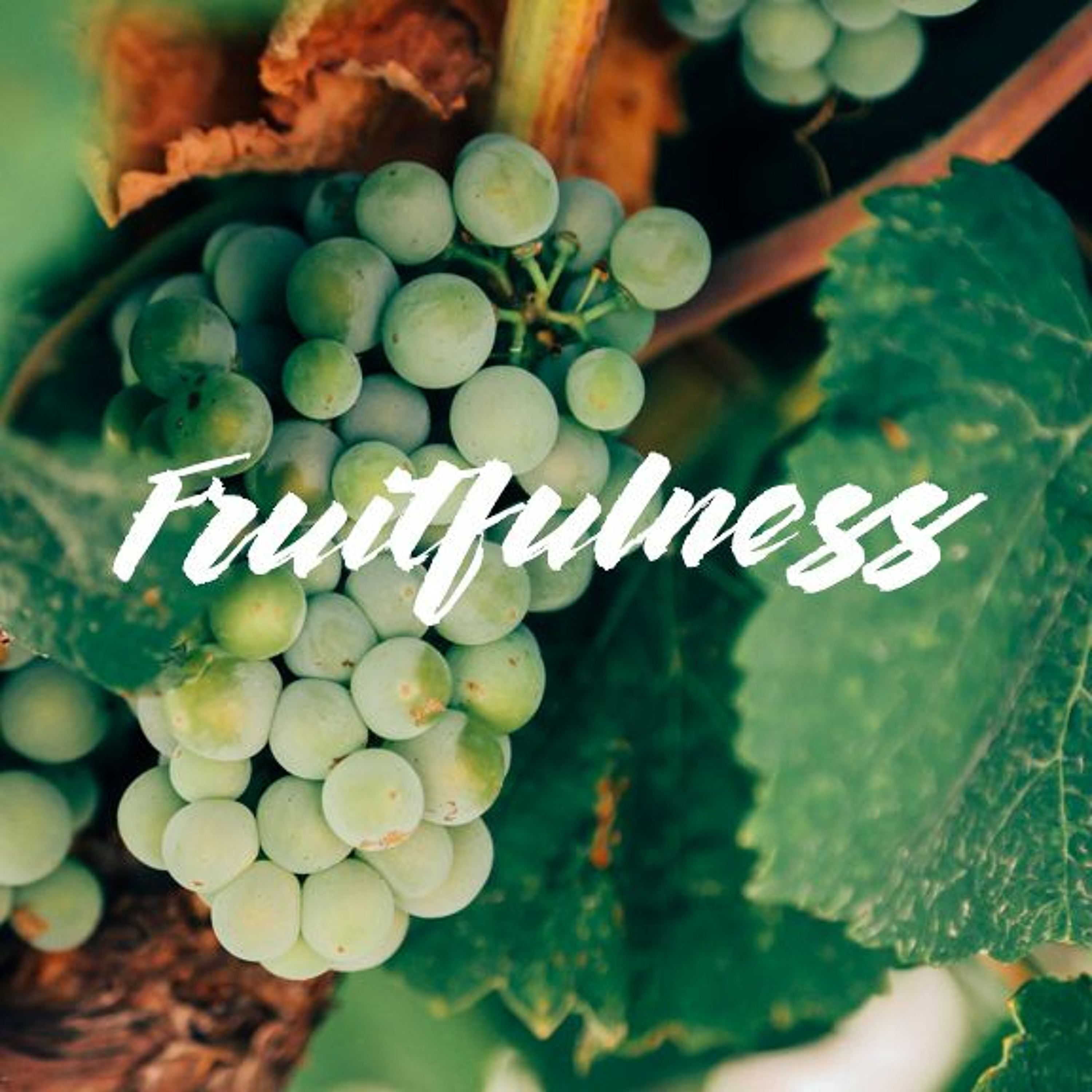 Fruitfulness | Hebrews 11:1 | Chris | Sunday 21 May 2016