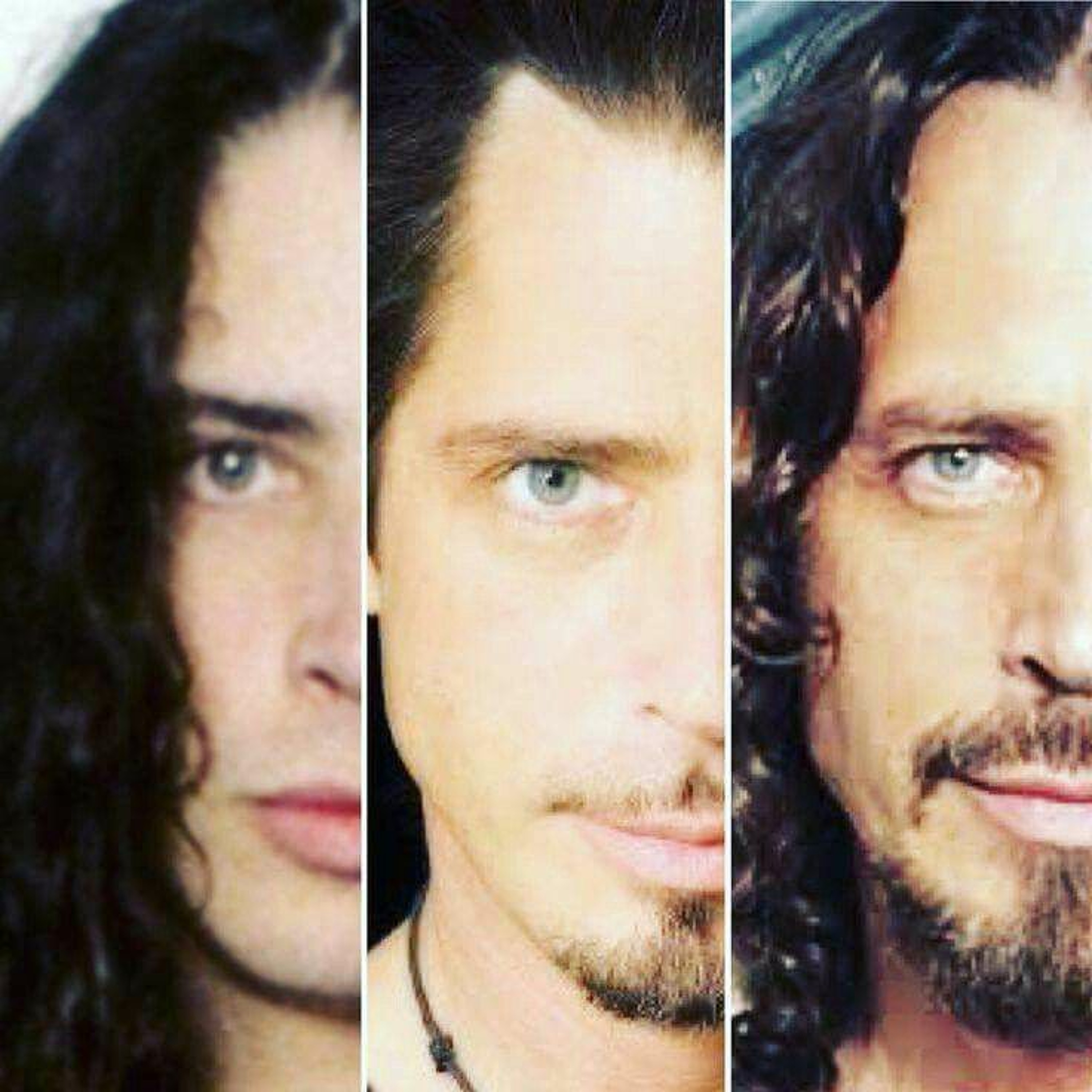 ”Goodbye Chris Cornell”