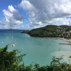 XILOREY Tropical Vibes Vol. 1