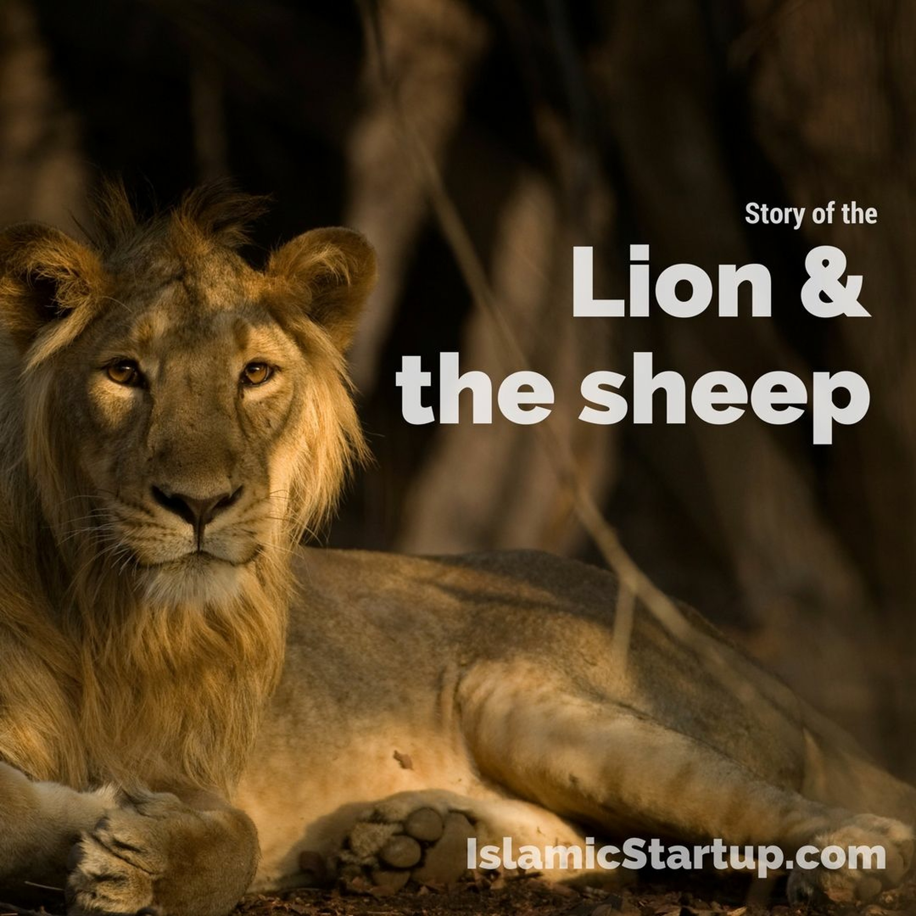 Islamic StartUp