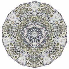 Wait & Bleed [Slipknot]