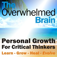 Stream The Overwhelmed Brain music | Listen to songs, albums ...