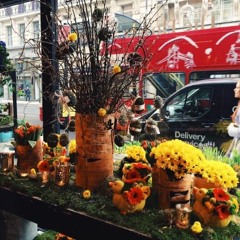 Camping (demo) (prod. by Ankh-O)