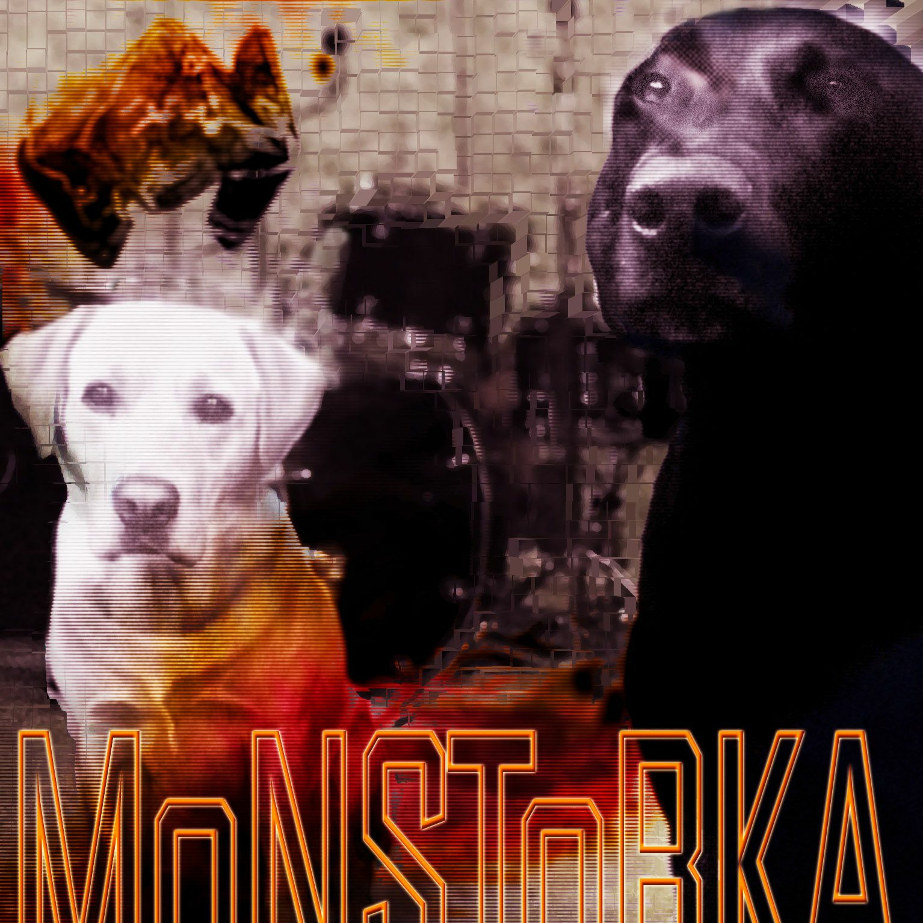 ShortTrack episode artwork
