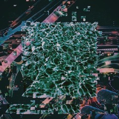 Foresee Vol. 5
