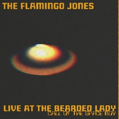 The Flamingo Jones - Night Train