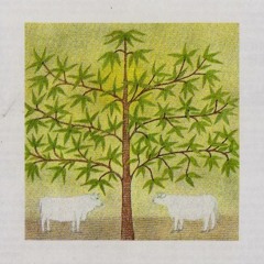 Eberhard Weber - The Following Morning Khmnmx