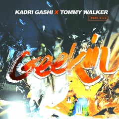 Kadri Gashi X Tommy Walker - Geekin (Original Mix)