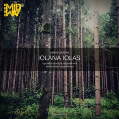 Tamas Skafar - Iolana Iolas (Original Mix) Preview