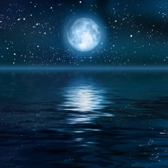 告别（Farewell）