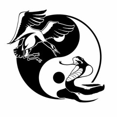 Snake Versus Crane - Tracks , Remixes international