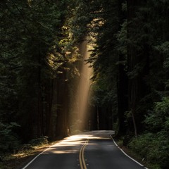 Licht und Schatten