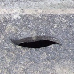 In Principio (laudatio Giacinto Scelsi)