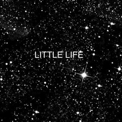 LITTLE LIFE