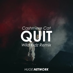Cashmere Cat ft. Ariana Grande - Quit (Wild Kidz Remix)(Free Download)