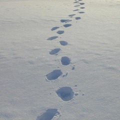 Crunch Went the Snow - New Mix