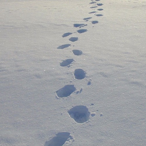 Crunch Went the Snow - New Mix