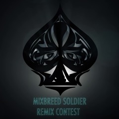 Lowroller - Mixbreed Soldier (KM-System RMX) Preview - No Master