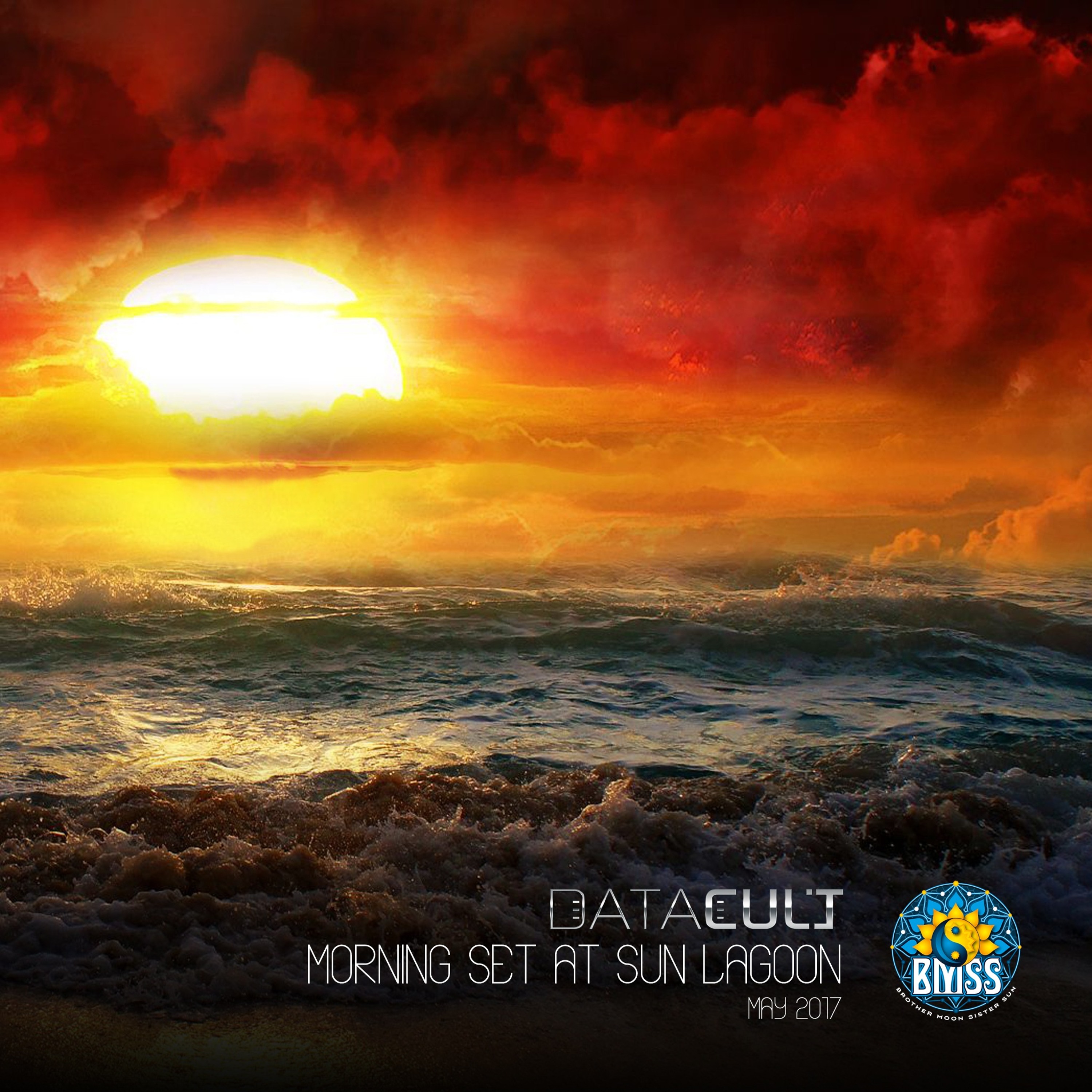Marco Scherer // Datacult
