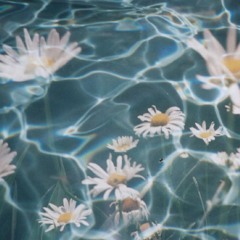 caustics