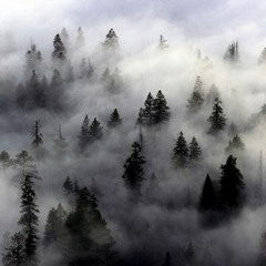 vowl. Sample Challenge Entry (YungSilverFox)