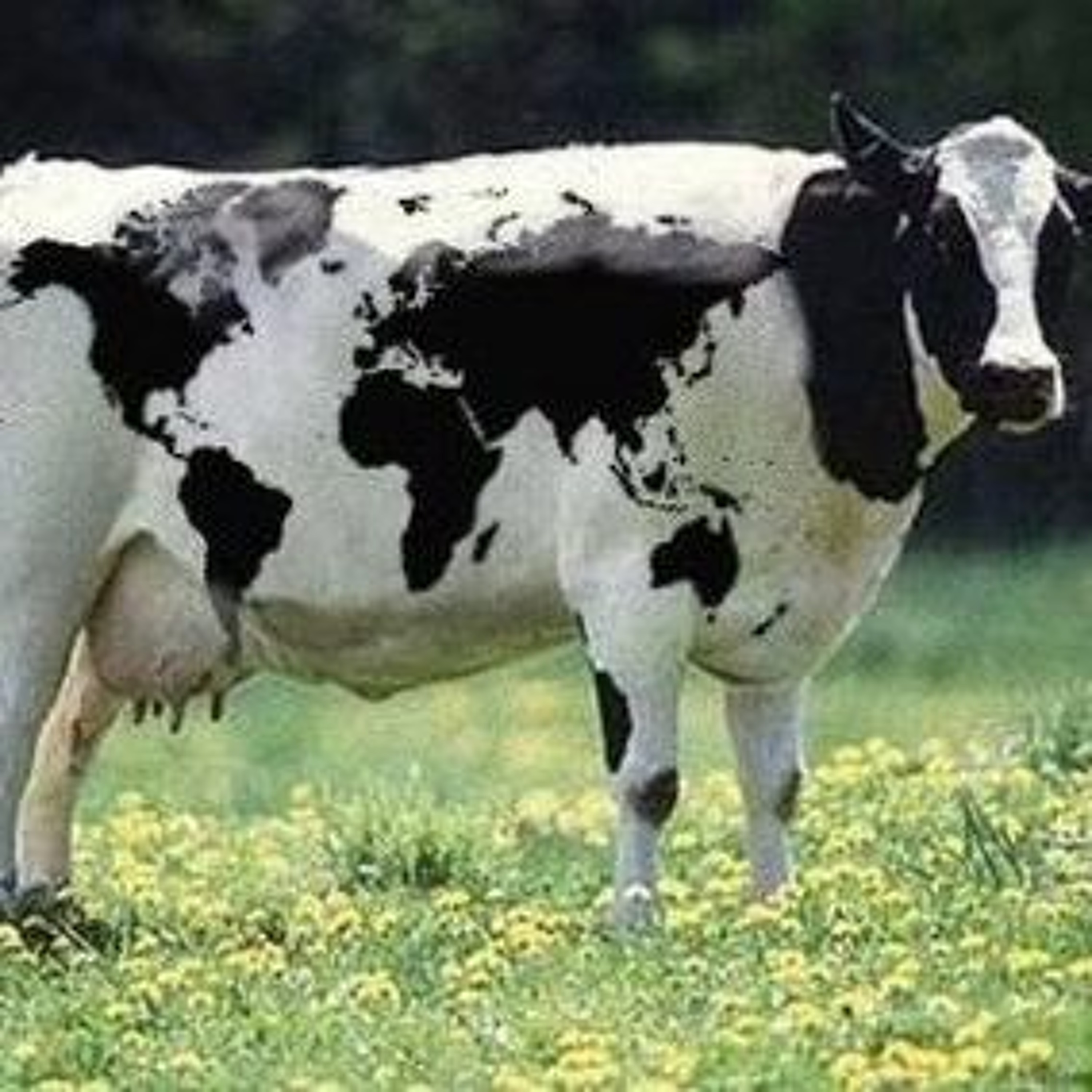 LOS TIEMPOS DE VACAS GORDAS episode artwork
