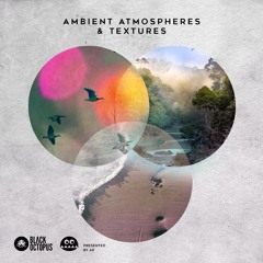 Ambient